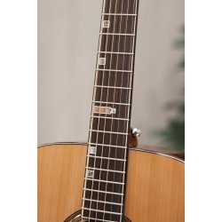 Fonzo V-201C OM Full Body